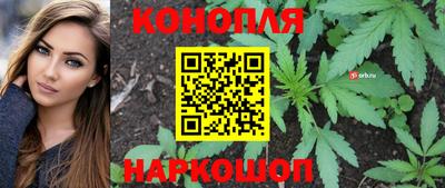 тгк Канаш